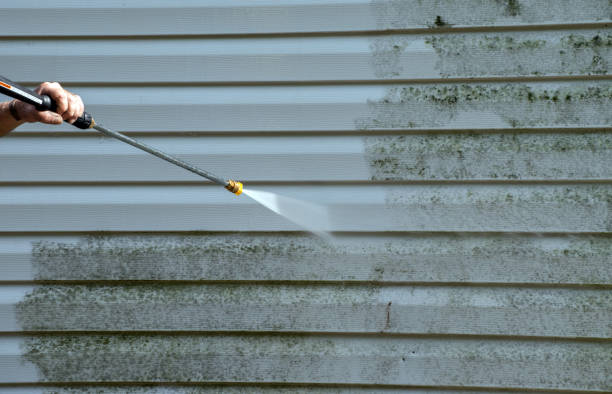 Best Gutter Cleaning  in Hamburg, AR